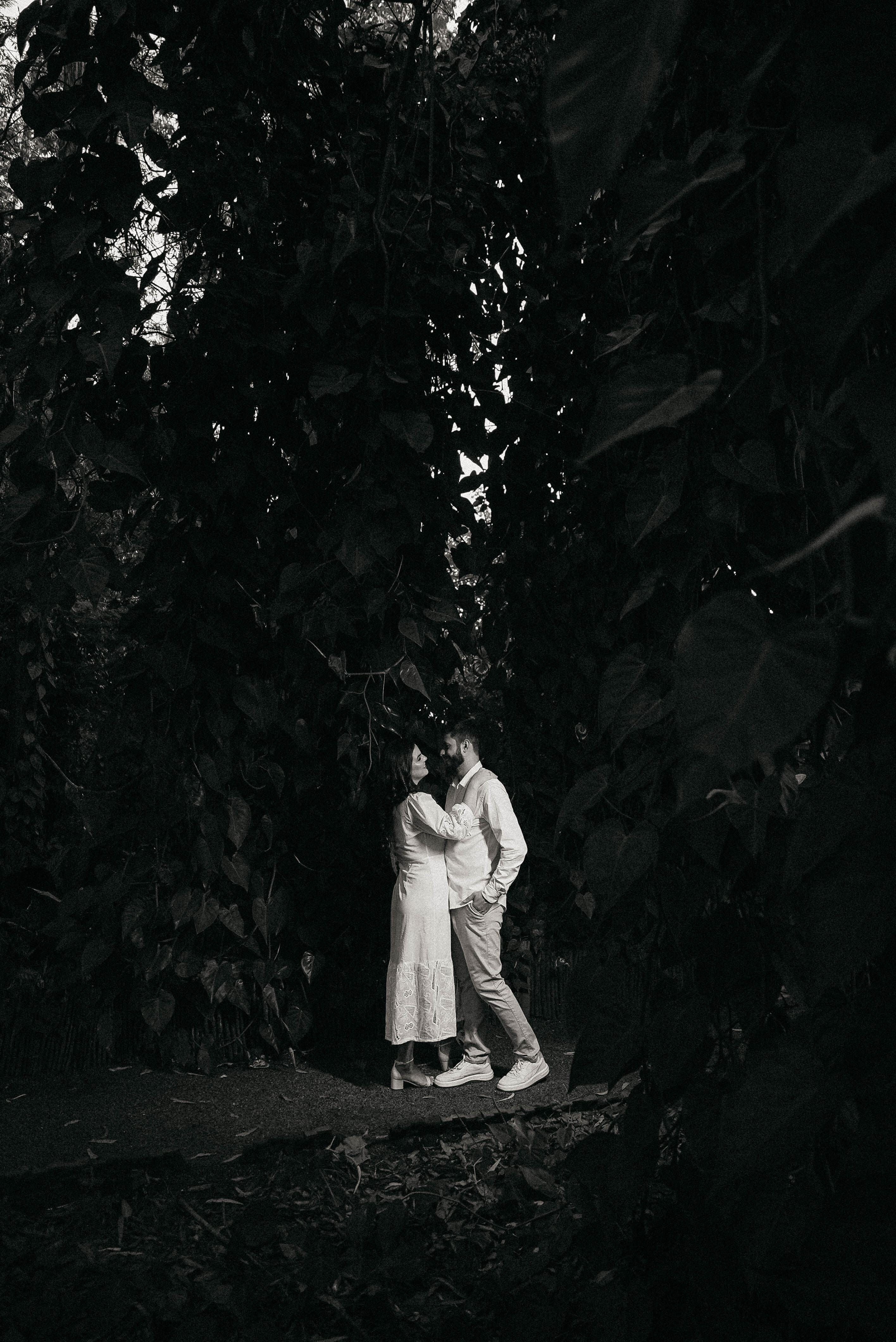 /png/preWedding/DSC04353.jpg